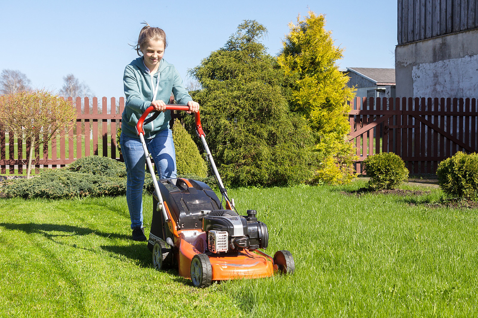 Lawn mowing in action