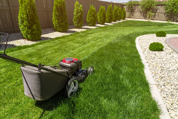 Lawn mower maintaining the lawn