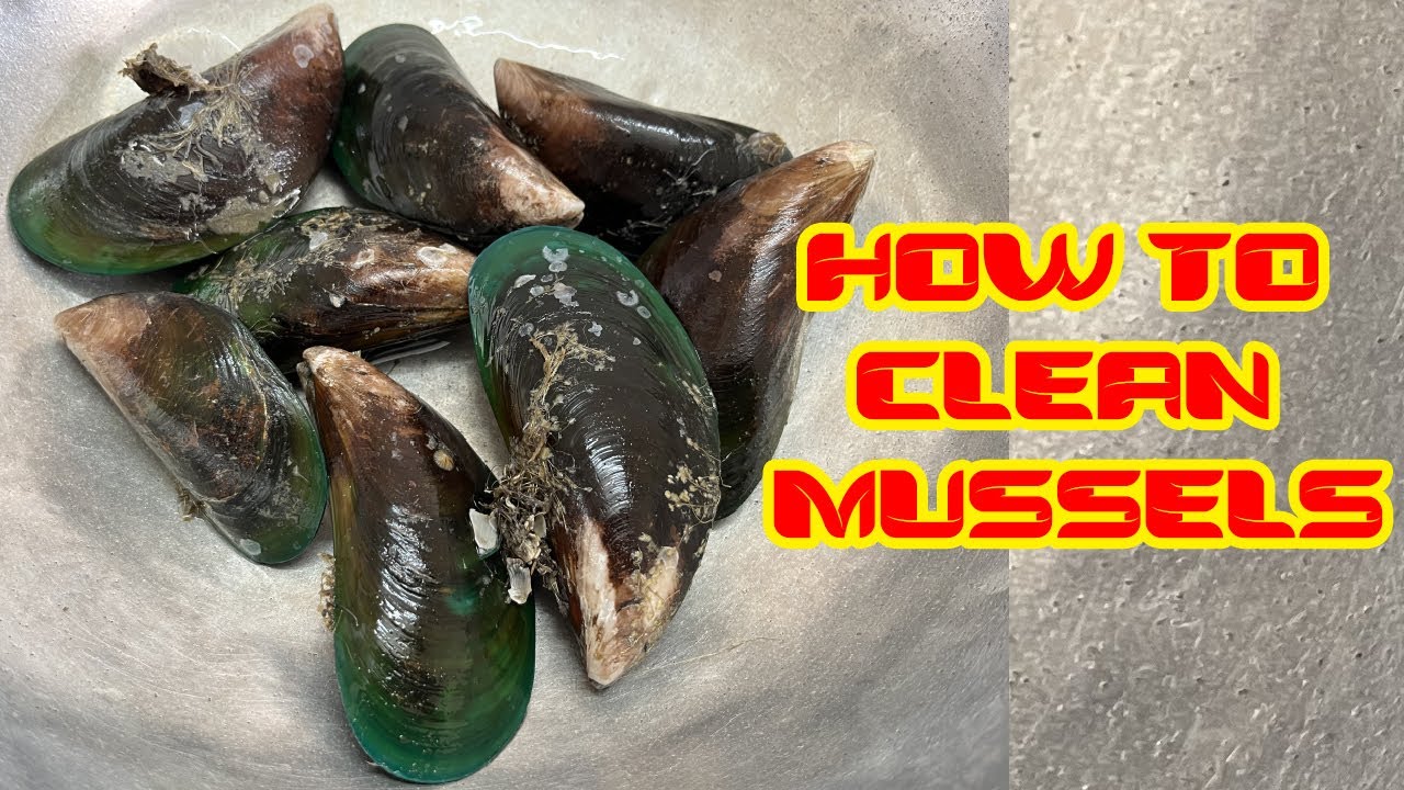 Fresh mussels ready for cleaning